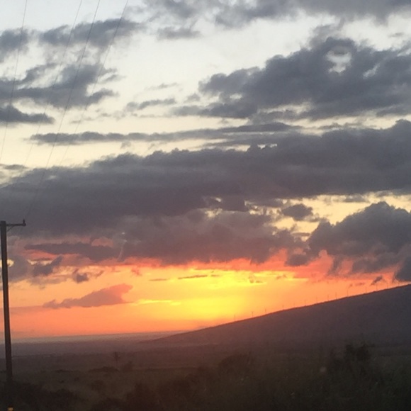 Meet your Posher, Roxanne - Picture 2 of 2